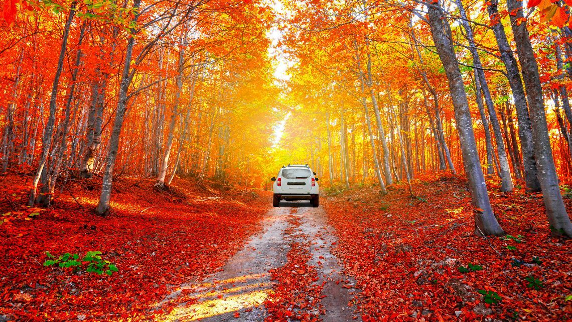Road Trip Ready Essential Alternator & Starter Maintenance Tips to Prevent Breakdowns